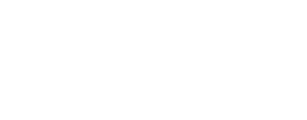 light logo